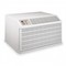 Friedrich WE10C33 9500 BTU Air Conditioner