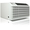 Friedrich WallMaster WS16B30 15800 BTU Air Conditioner