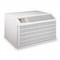 Friedrich WY09C33 9300 BTU Air Conditioner